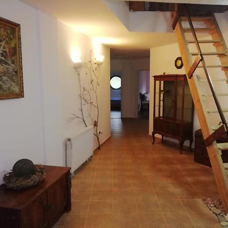 Hotel Domurile Din Zărneşti Zewnętrze zdjęcie